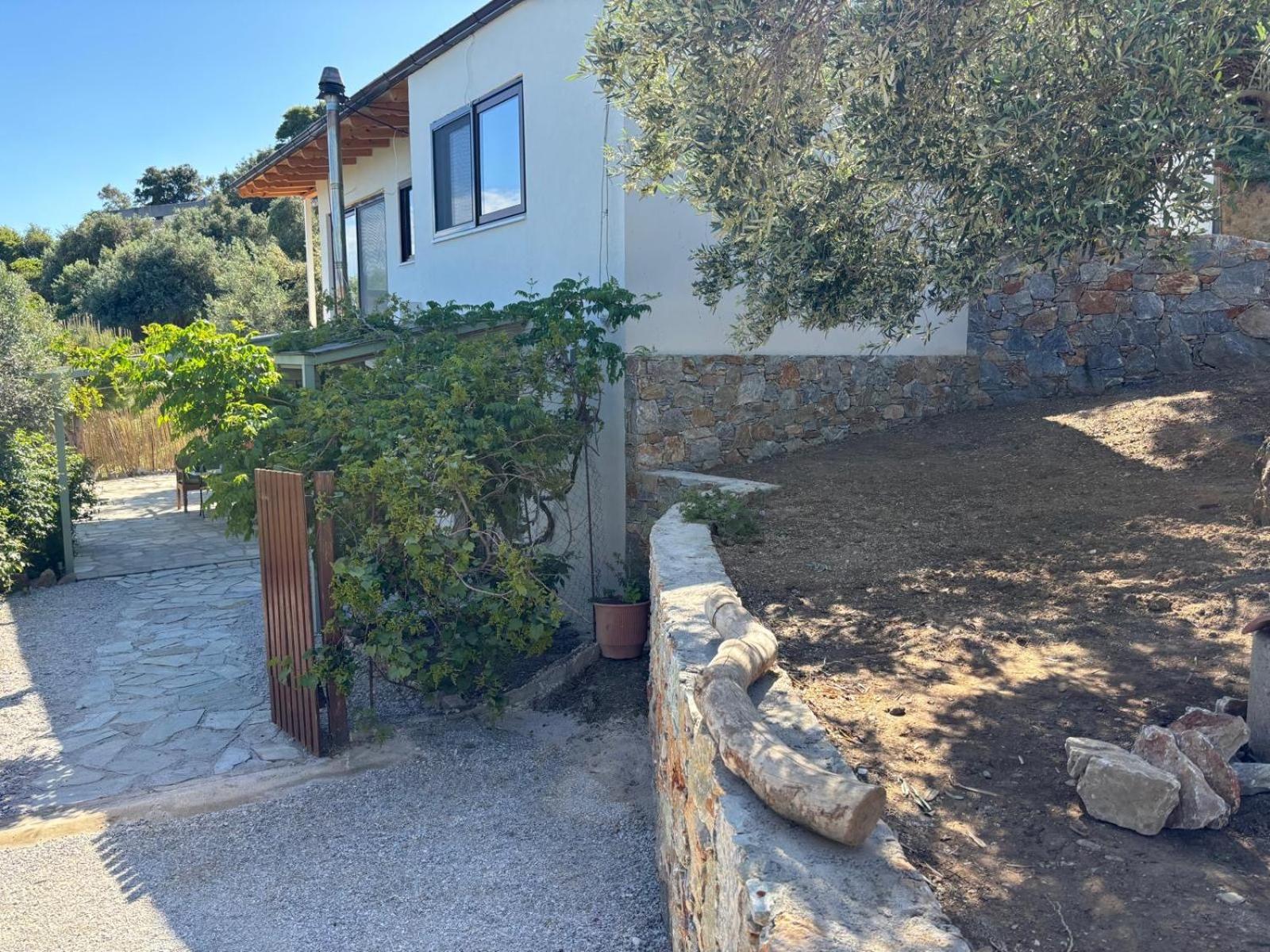 Tierra Villa Skiathos Town Exterior photo